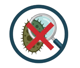 Mold Inspection Colorado Springs